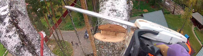 спилить дерево